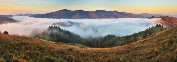 autumn morning. Picturesque foggy sunrise in the Carpathian mountains