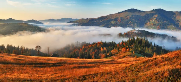 Herbstmorgen Malerischer Nebliger Sonnenaufgang Den Karpaten — Stockfoto