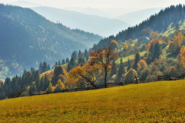 Autumn Morning Picturesque Foggy Sunrise Carpathian Mountains — Stock Photo, Image