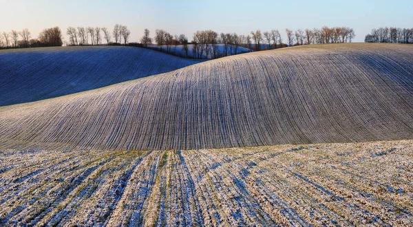 Winter Field Picturesque Sunset Snowy Field — Stock Photo, Image
