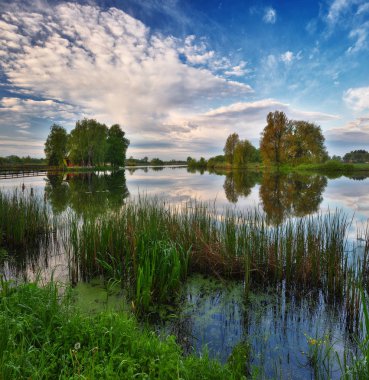 Adadaki bir ev. Küçük bir adadaki bir kulübeye köprü
