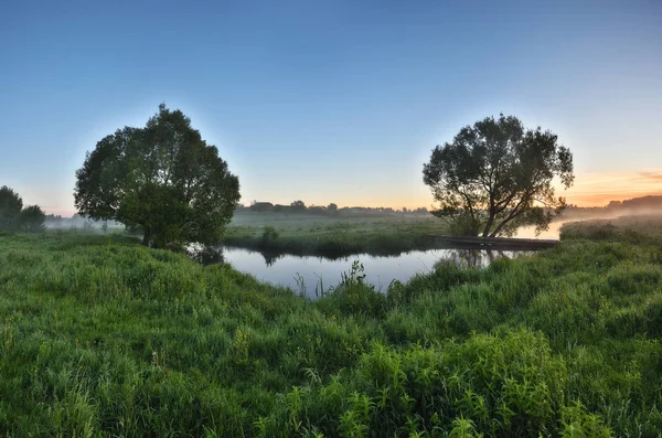 Picturesque Spring Dawn Foggy Morning River Valley — Stock Photo, Image