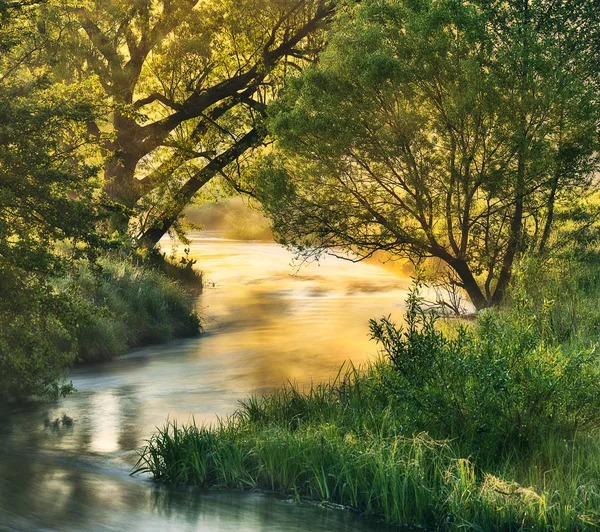 Весеннее Утро Туманный Рассвет Живописная Туманная Река — стоковое фото