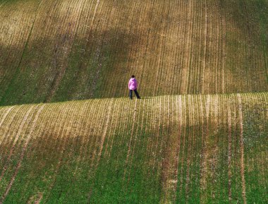 Tepe tarlası. Sahada bir turist dolaşıyor. Kadın doğanın güzelliğine hayran.