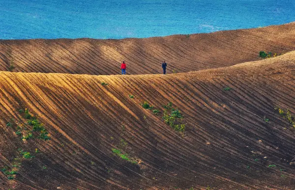 Heuvelachtig Veld Een Toerist Loopt Rond Het Veld Vrouw Bewondert — Stockfoto