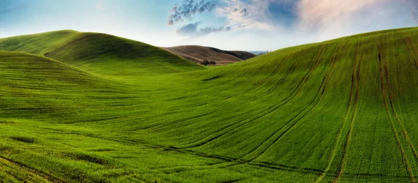 Hilly Field Agricultural Field Beautiful Hills — Stock Photo, Image