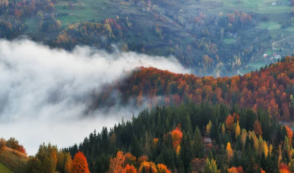 Podzimní Ráno Úsvit Karpatských Horách Mlhavý Podzimní Východ Slunce — Stock fotografie