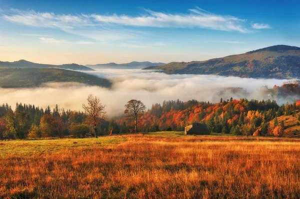 Autumn Morning Dawn Carpathian Mountains Foggy Autumn Sunrise — Stock Photo, Image