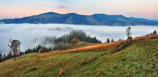 秋天的早晨 喀尔巴阡山脉的黎明 多雾的秋日日出 — 图库照片