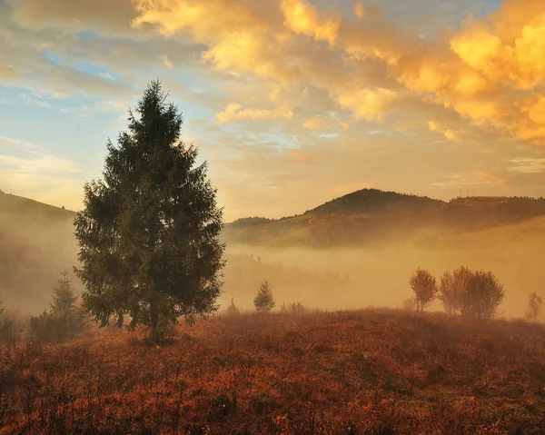 秋天的早晨 喀尔巴阡山脉的黎明 多雾的秋日日出 — 图库照片