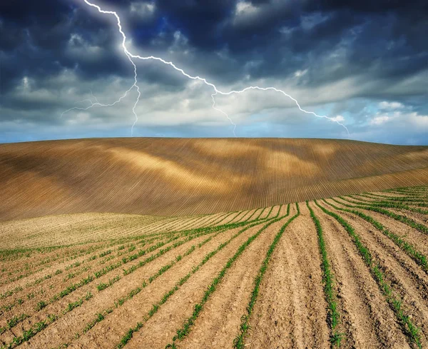 田野里的雷雨 在丘陵地带上的巨大闪电 田里的坏天气 — 图库照片