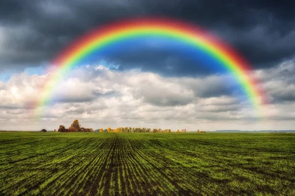 Rainbow Field Picturesque Field — Stock Photo, Image