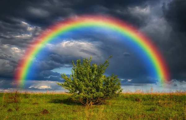 Gökkuşağı sahada. resim alanı