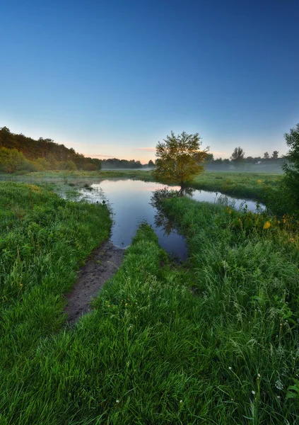 Picturesque Spring Dawn Morning River — Stock Photo, Image