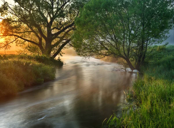 Bahar Nehri. pitoresk sisli gün doğumu. Nehrin üzerinde sis