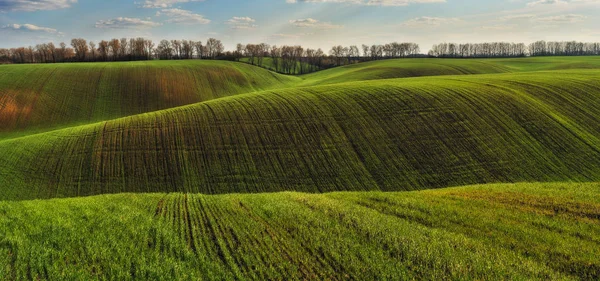 Hilly Field Collines Pittoresques Champs Verts — Photo