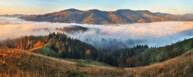 Sonbahar sabahı. Carpathian dağlarında şafak vakti. Sisli sonbahar gündoğumu