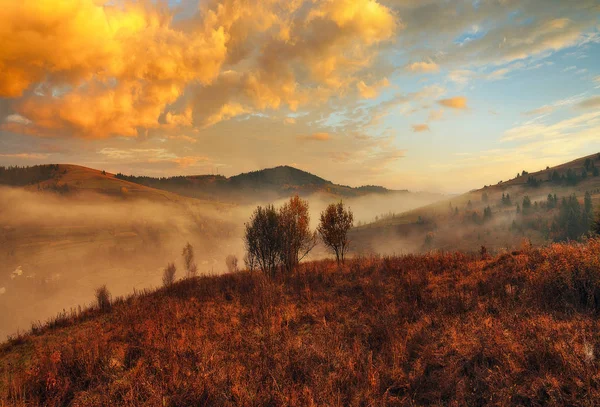 秋の朝カルパチア山脈の夜明け 霧の多い秋の日の出 — ストック写真