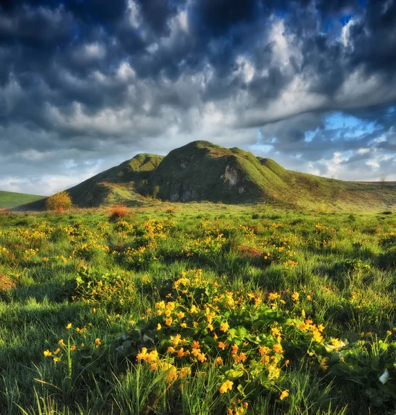 Spring Meadow Sunrise Picturesque Valley — Stock Photo, Image