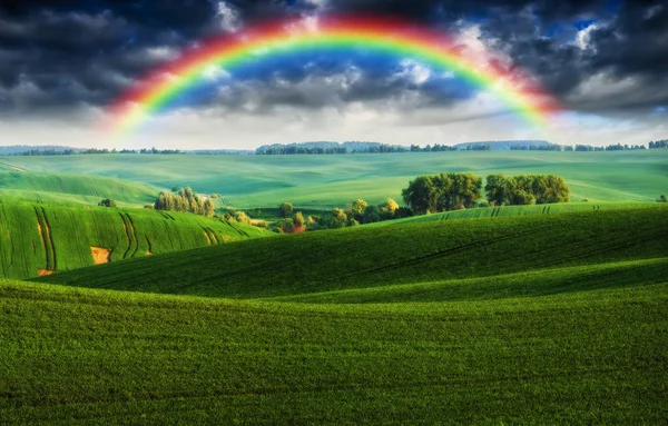 Rainbow Field Picturesque Sky Hilly Field — Stock Photo, Image