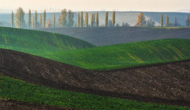 Tepe tarlası. Resimli bir tarlada sonbahar şafağı