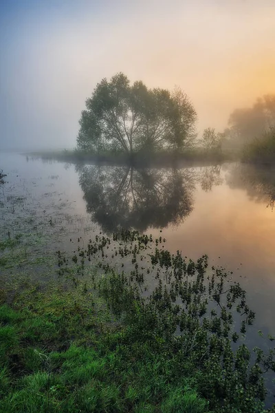 Köd Folyó Völgyében Festői Tavaszi Reggel Gyönyörű Ködös Napfelkelte Egy — Stock Fotó