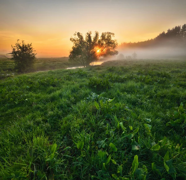 Mlha Údolí Řeky Malebné Jarní Ráno Krásný Mlhavý Východ Slunce — Stock fotografie