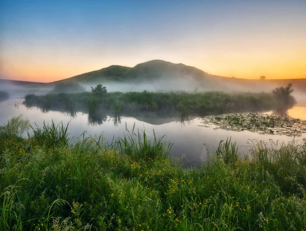 山谷中的雾 美丽的春天早晨 雾蒙蒙的草地上美丽的雾蒙蒙的日出 — 图库照片
