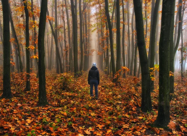 Femme Dans Forêt Homme Marche Dans Une Forêt Brumeuse Brouillard — Photo