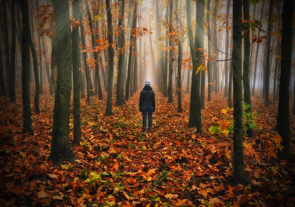 Woman Forest Man Walks Foggy Forest Morning Fog Golden Autumn — Stock Photo, Image