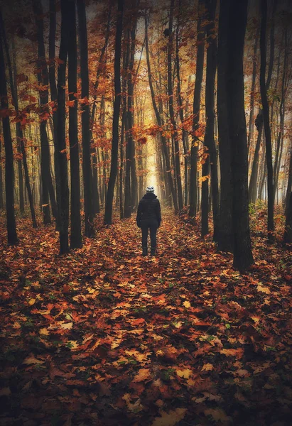 Femme Dans Forêt Homme Marche Dans Une Forêt Brumeuse Brouillard — Photo