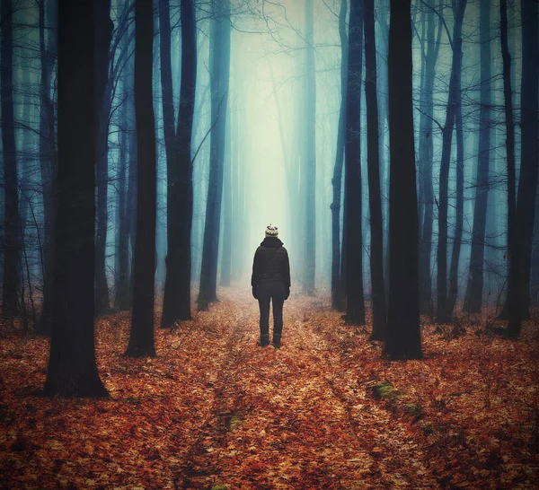 森林里的女人 人走在雾蒙蒙的森林里 金秋森林里的晨雾 — 图库照片