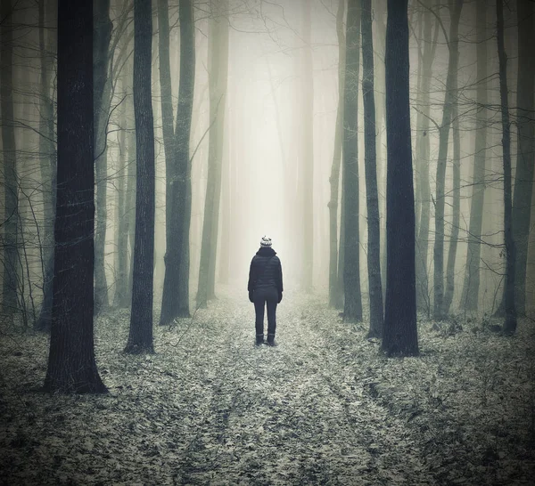 Woman Forest Man Walks Foggy Forest Morning Fog Golden Autumn — Stock Photo, Image