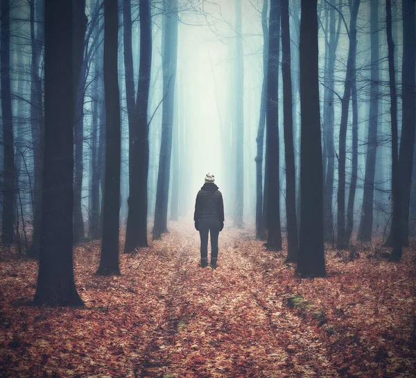 woman in the forest. man walks in a foggy forest. morning fog in a golden autumn forest