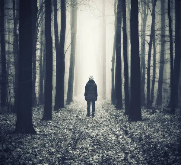 Woman Forest Man Walks Foggy Forest Morning Fog Golden Autumn — Stock Photo, Image