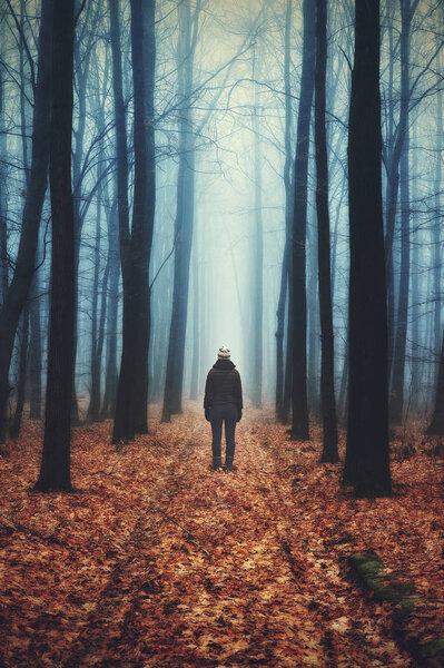Woman in the forest. man walks in a foggy forest. morning fog in a golden autumn forest