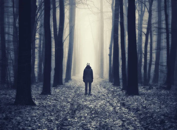 Woman Forest Man Walks Foggy Forest Morning Fog Golden Autumn — Stock Photo, Image