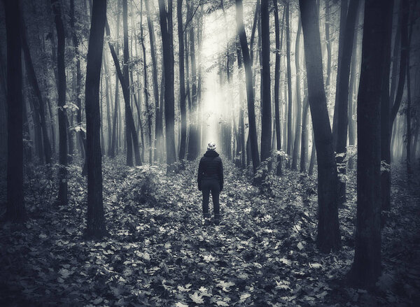 Woman in the forest. man walks in a foggy forest. morning fog in a golden autumn forest