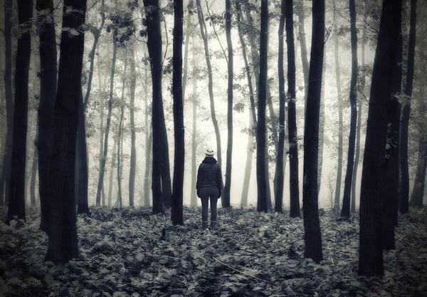 Femme Dans Forêt Homme Marche Dans Une Forêt Brumeuse Brouillard — Photo