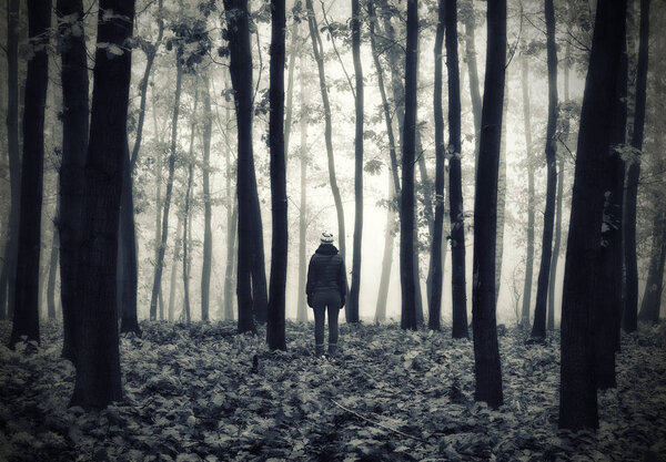 Woman in the forest. man walks in a foggy forest. morning fog in a golden autumn forest