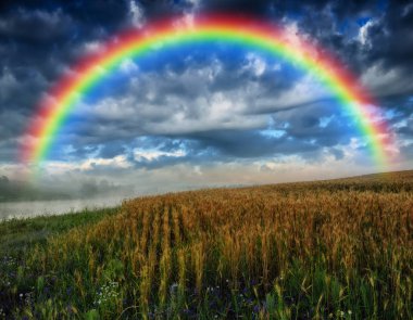 Gökkuşağı sahada. Tepeli bir tarlanın üzerinde gözalıcı bir gökyüzü. Bir fırtınadan sonra