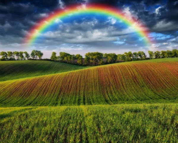 Regenbogen Auf Dem Feld Malerischen Himmel Über Einem Hügeligen Feld — Stockfoto