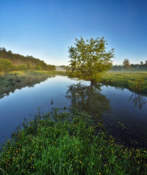 Spring Morning Dawn Valley Picturesque River — Stock Photo, Image