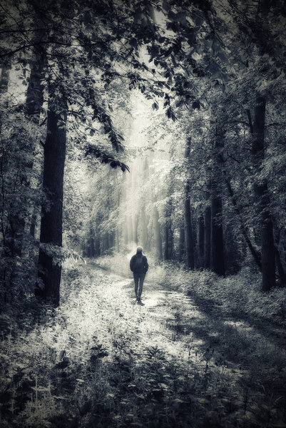 Woman in the forest. man walks in the woods. spring fog