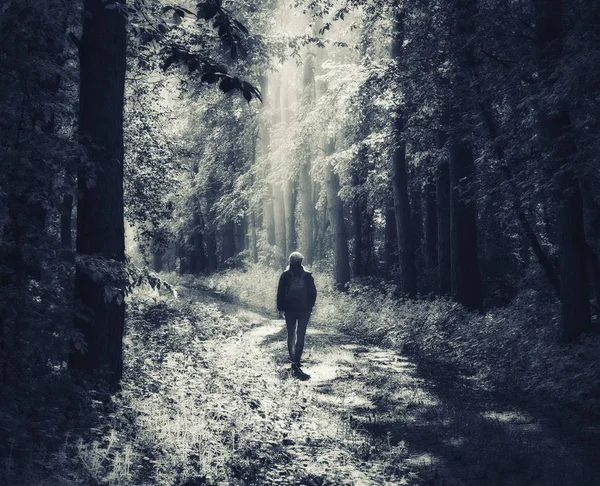 Woman Forest Man Walks Woods Spring Fog — Stock Photo, Image