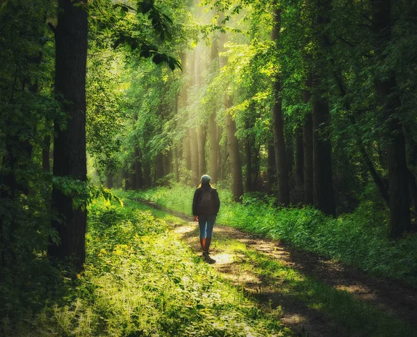 Woman Forest Man Walks Woods Spring Fog — Stock Photo, Image