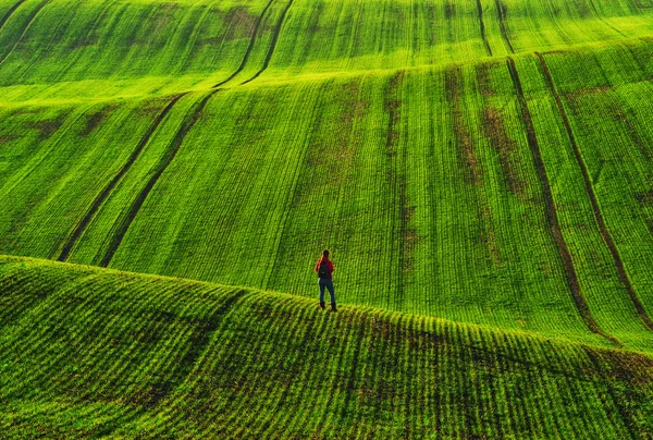 Turista Campo Pintoresco Campo Montañoso Hermoso Fondo —  Fotos de Stock