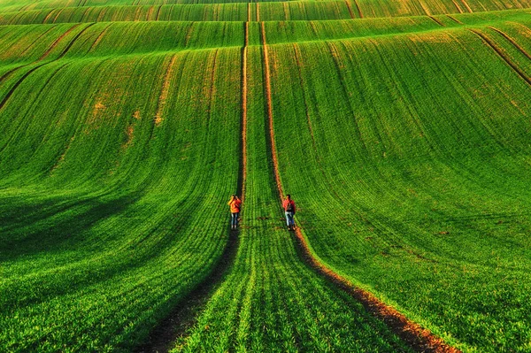 Turista Nel Campo Pittoresco Campo Collinare Bellissimo Sfondo — Foto Stock