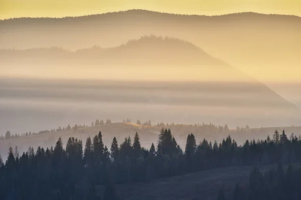 Πρωινά Καρπάθια Γραφική Ανατολή Στα Βουνά Φθινόπωρο Ομίχλη — Φωτογραφία Αρχείου