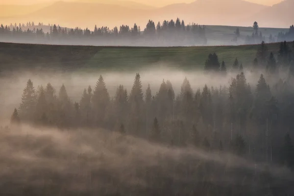 Dzień Dobry Karpaty Malowniczy Wschód Słońca Górach Jesienna Mgła — Zdjęcie stockowe